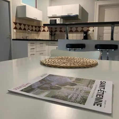 Grand Centre Saint-etienne Apartment *